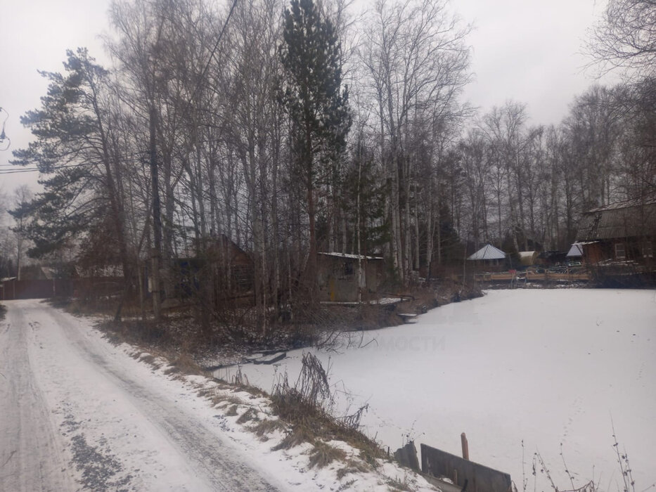 Екатеринбург, снт. СНТ, уч. 40 лет Октября (кад.кв-л 0508003),74 - фото сада (1)