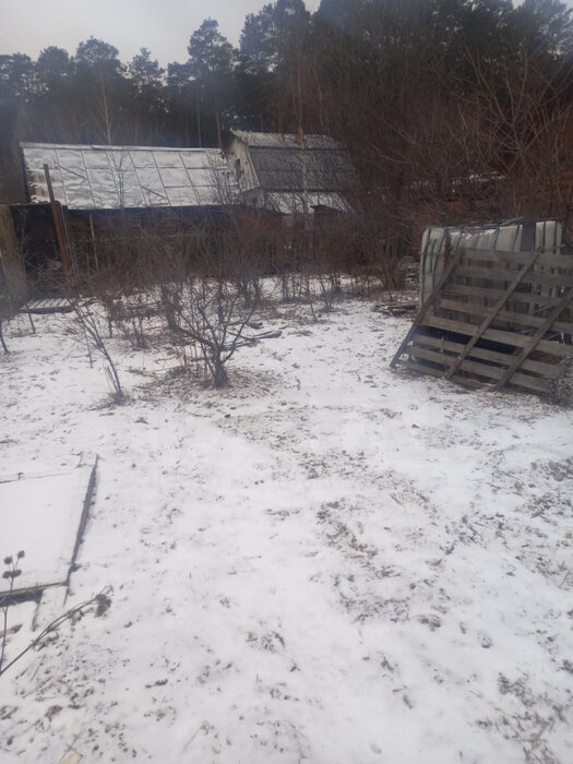 Екатеринбург, снт. СНТ, уч. 40 лет Октября (кад.кв-л 0508003),74 - фото сада (4)