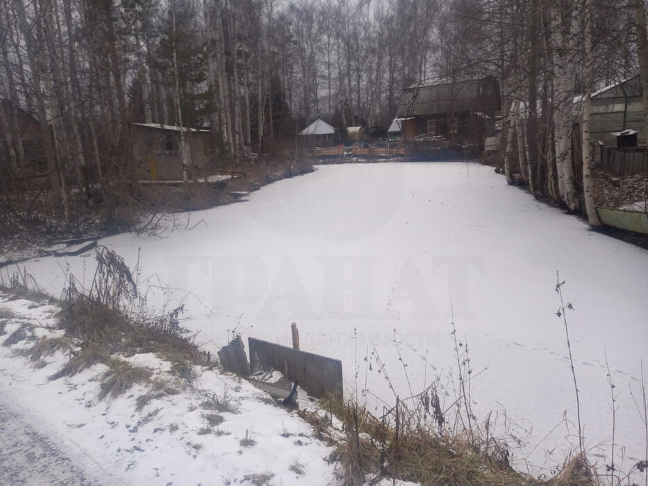 Екатеринбург, снт. СНТ, уч. 40 лет Октября (кад.кв-л 0508003),74 - фото сада (8)