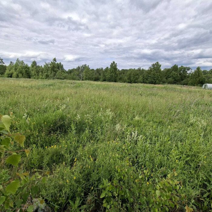 с. Новоалексеевское, ул. Чернышевского (городской округ Первоуральск) - фото земельного участка (1)