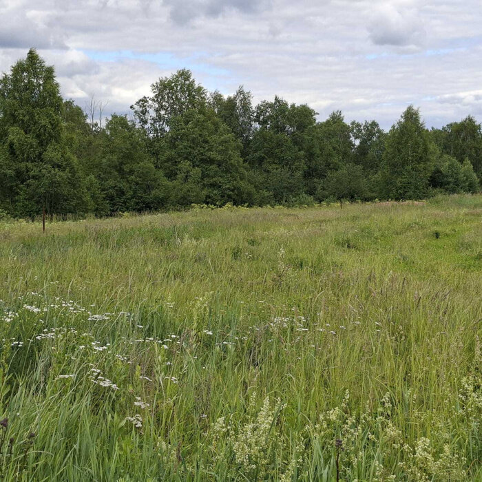 с. Новоалексеевское, ул. Чернышевского (городской округ Первоуральск) - фото земельного участка (2)