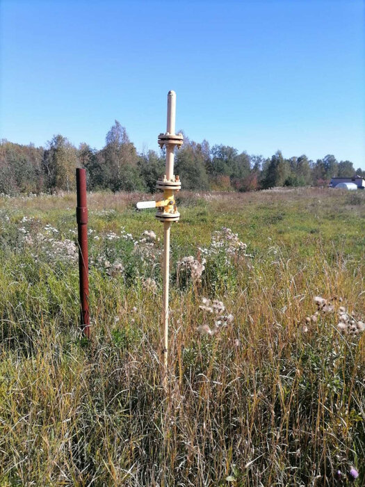 с. Новоалексеевское, ул. Чернышевского (городской округ Первоуральск) - фото земельного участка (3)