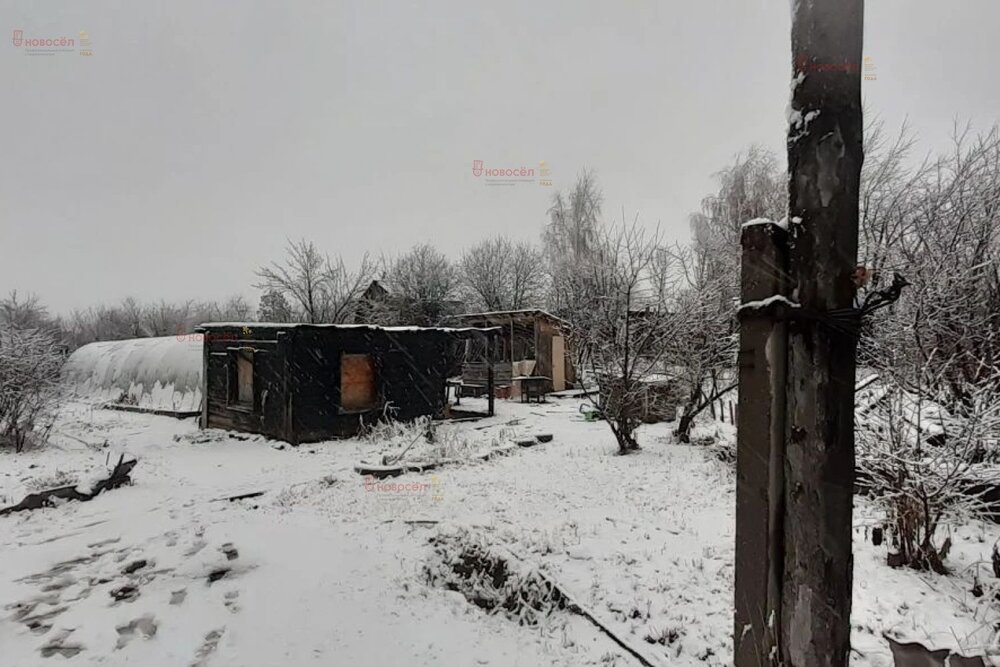 г. Верхняя Пышма, СНТ Ветеран-4, уч. 2 (городской округ Верхняя Пышма) - фото сада (2)