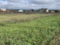 Продажа земельного участка: с. Большебрусянское, ул. Высоцкого (городской округ Белоярский) - Фото 2