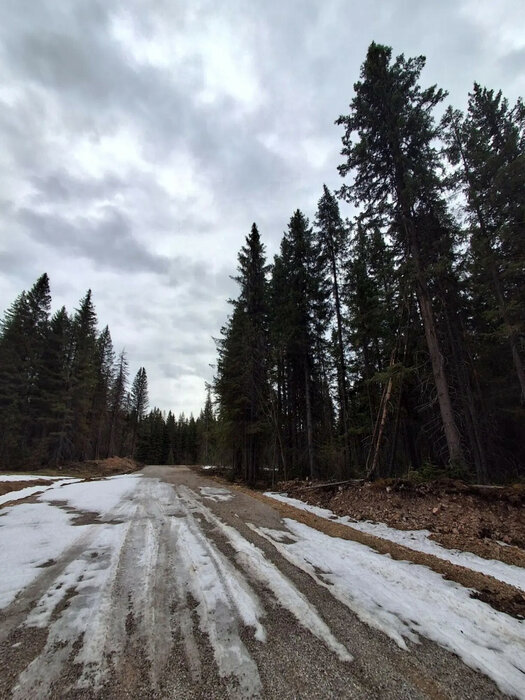г. Нижние Серги (Нижнесергинский район) - фото земельного участка (8)