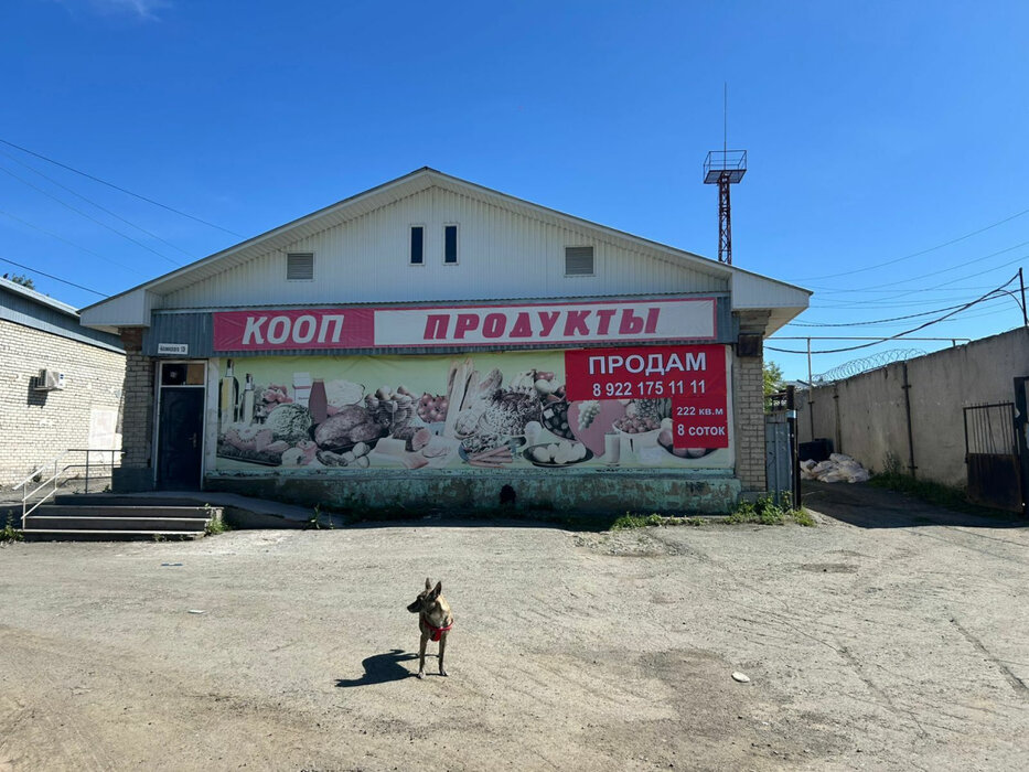 г. Арамиль, ул. Белинского, 13 (городской округ Арамильский) - фото торговой площади (7)