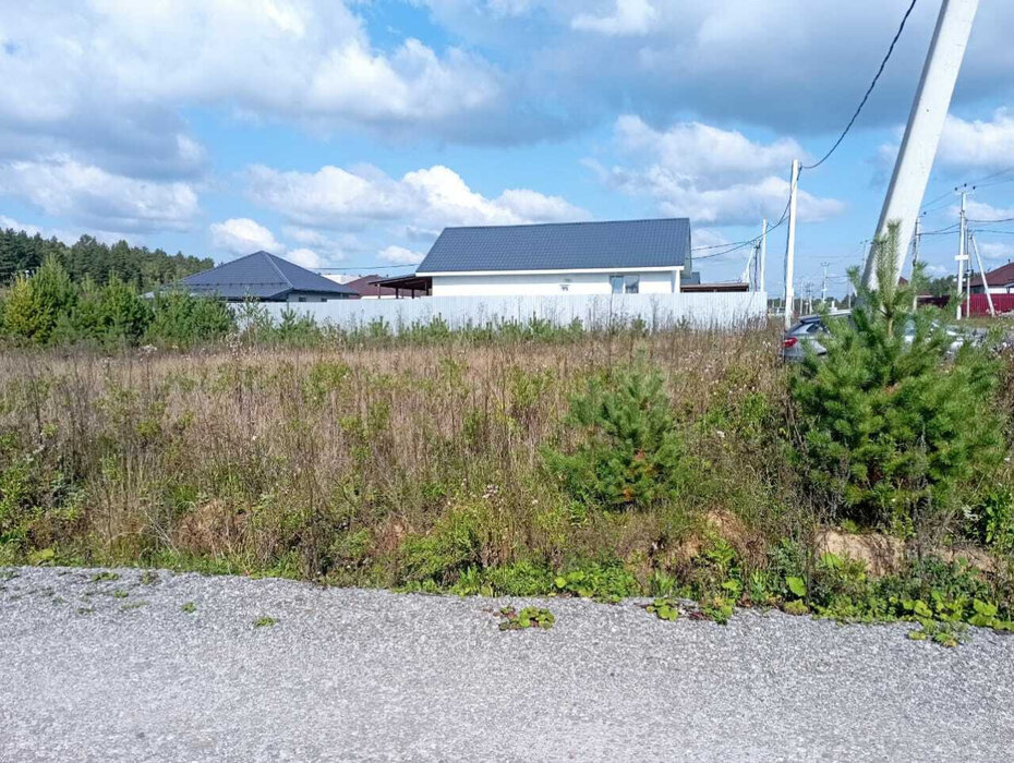 к.п. Дарвин, ул. Прогрессивная, 14 (городской округ Белоярский, п. Рассоха) - фото земельного участка (2)