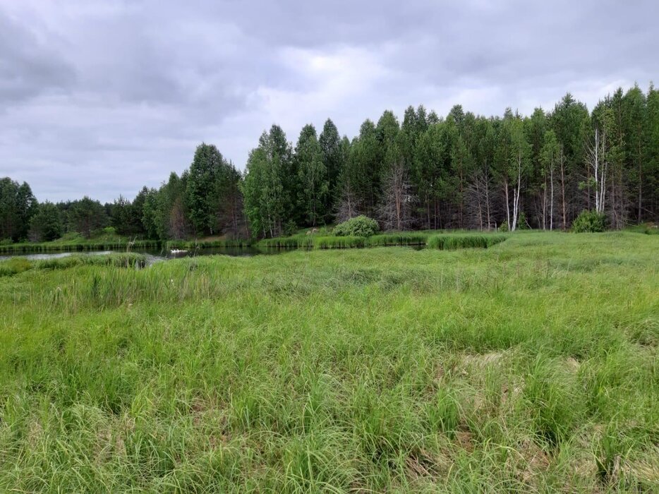 п. Осиновский, ул. Центральная,   (городской округ Невьянский) - фото земельного участка (2)