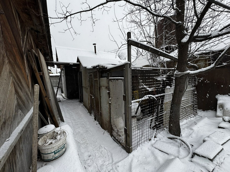 Екатеринбург, СТ Институт Горного Дела №, уч. 2 (Широкая речка) - фото сада (6)