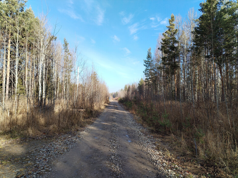 ДПК Созвездие Премиум (городской округ Екатеринбург) - фото земельного участка (1)