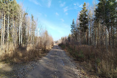 ДПК Созвездие Премиум (городской округ Екатеринбург) - фото земельного участка