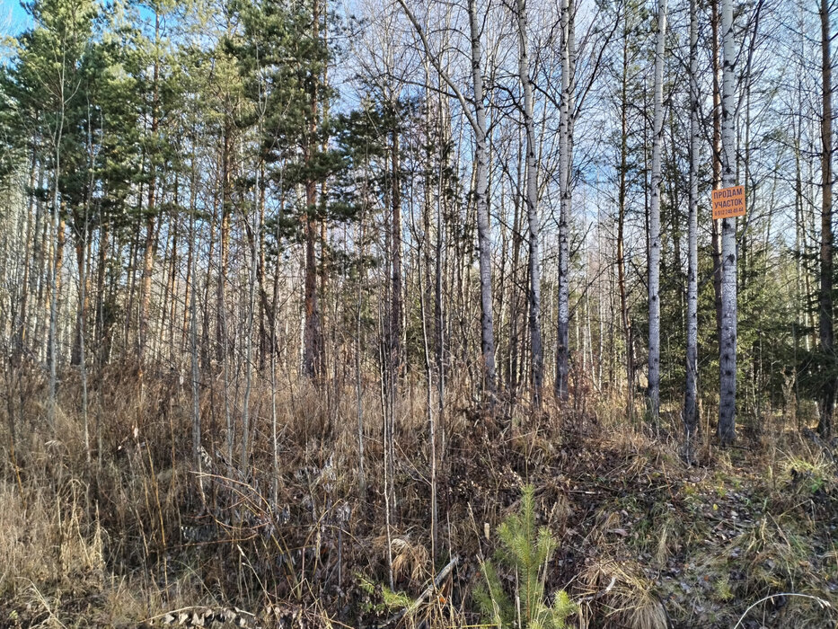 ДПК Созвездие Премиум (городской округ Екатеринбург) - фото земельного участка (2)