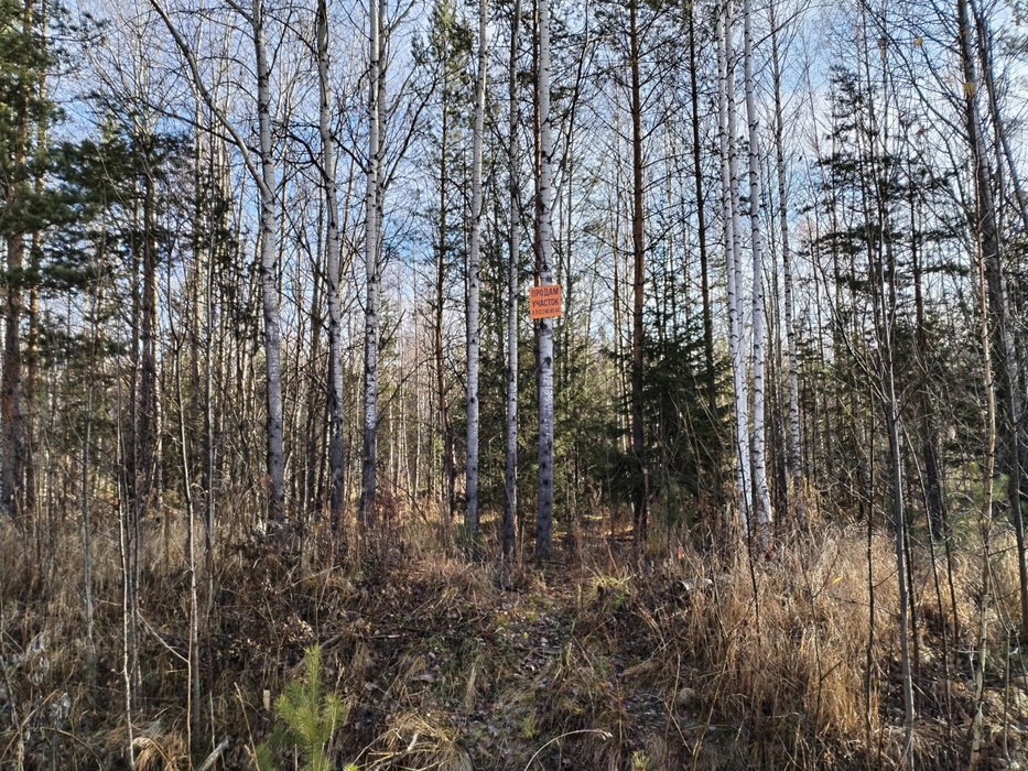 ДПК Созвездие Премиум (городской округ Екатеринбург) - фото земельного участка (3)
