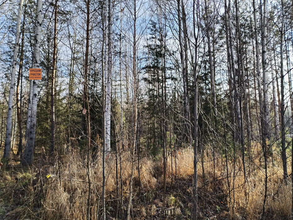 ДПК Созвездие Премиум (городской округ Екатеринбург) - фото земельного участка (4)