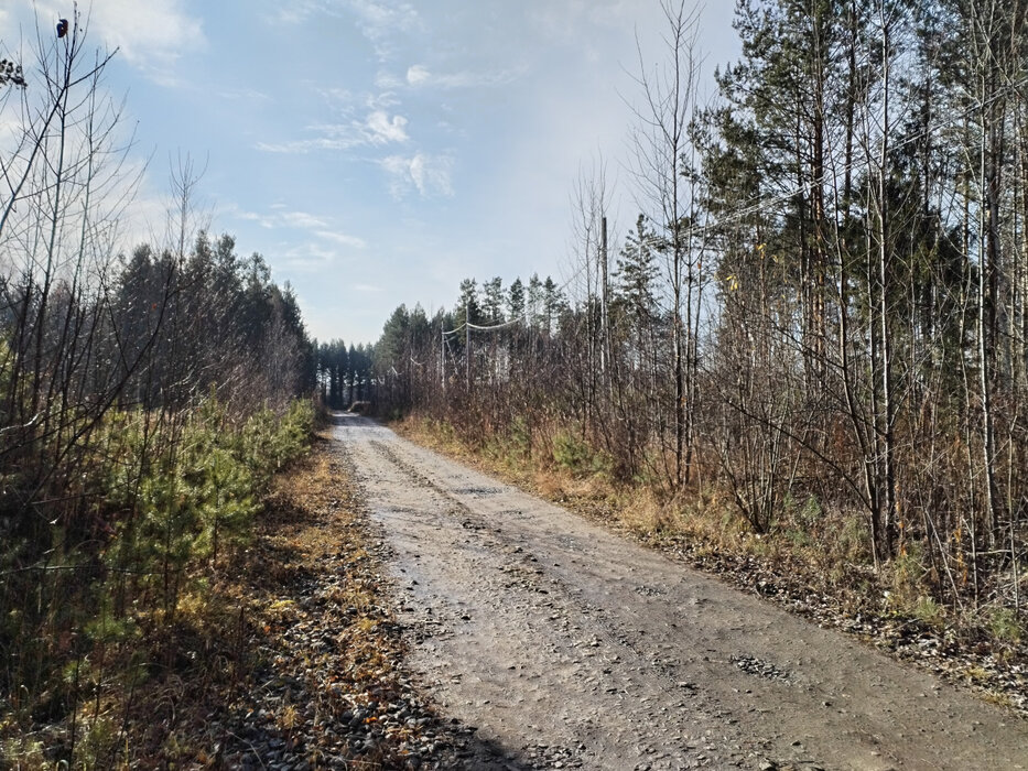 ДПК Созвездие Премиум (городской округ Екатеринбург) - фото земельного участка (6)