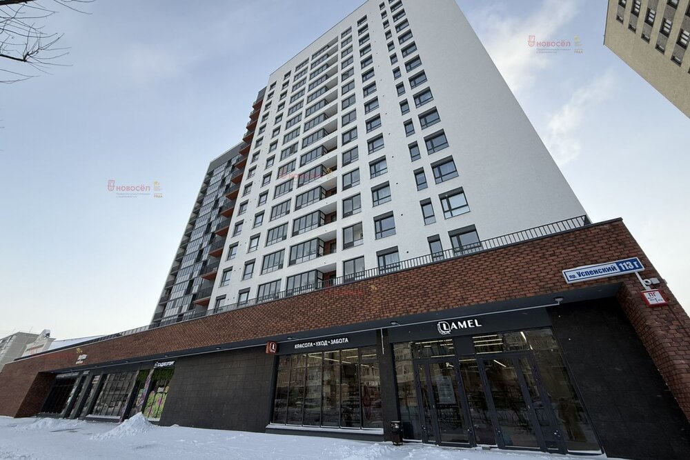 г. Верхняя Пышма, ул. проспект Успенский, 113 г (городской округ Верхняя Пышма) - фото торговой площади (3)