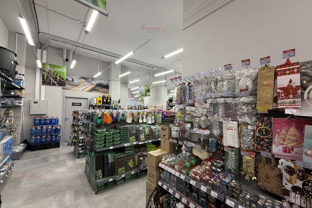 г. Верхняя Пышма, ул. проспект Успенский, 113 г (городской округ Верхняя Пышма) - фото торговой площади (4)