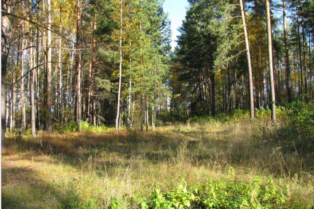 поселок городского типа Белоярский, ул. Калинина (городской округ Белоярский) - фото земельного участка (2)