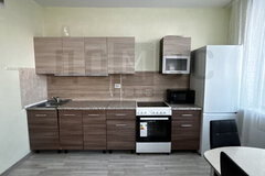 Екатеринбург, ул. Чкалова, 231 (УНЦ) - фото квартиры