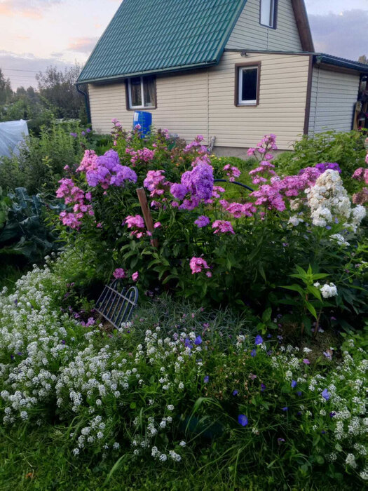 Екатеринбург, коллективный сад Берёзка, ул. Карасьевская, 274 - фото сада (1)