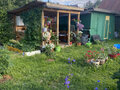 Продажа садового участка: Екатеринбург, коллективный сад Берёзка, ул. Карасьевская, 274 - Фото 4