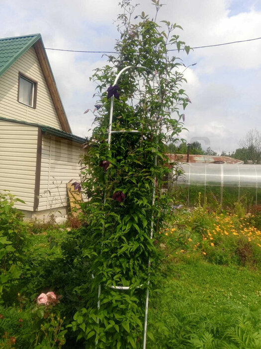 Екатеринбург, коллективный сад Берёзка, ул. Карасьевская, 274 - фото сада (5)