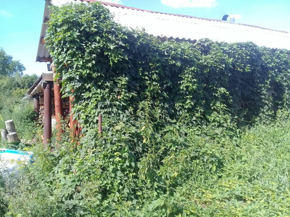 с. Троицкое, ул. Ленина, 5 (городской округ Богданович) - фото дома (2)