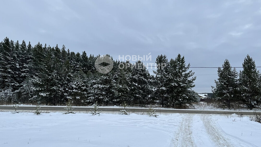 с. Черноусово, ул. Магистральная, 11 (городской округ Белоярский) - фото дома (7)