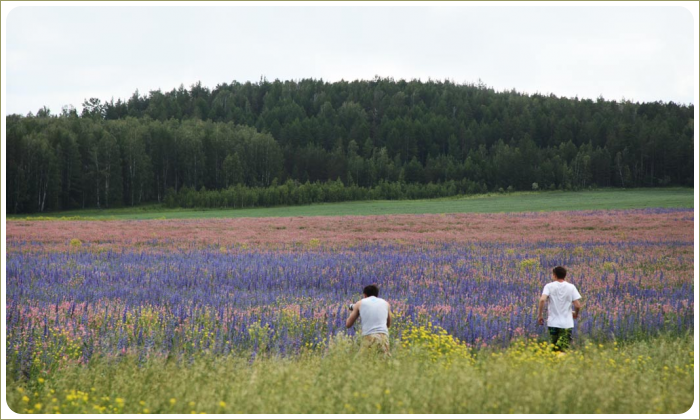 г. Дегтярск, ул. российская, 16 (городской округ Город Дегтярск) - фото земельного участка (2)