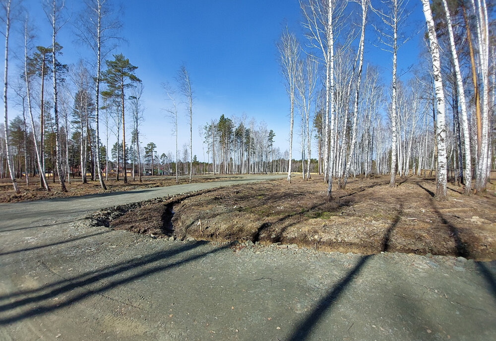 г. Верхняя Пышма, рядом с СНТ Звёздочка (городской округ Верхняя Пышма) - фото сада (1)
