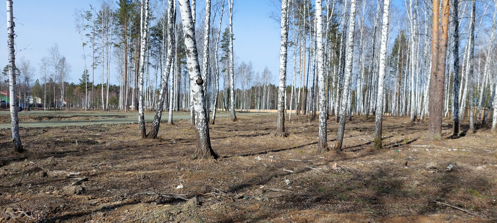 г. Верхняя Пышма, рядом с СНТ Звёздочка (городской округ Верхняя Пышма) - фото сада (2)