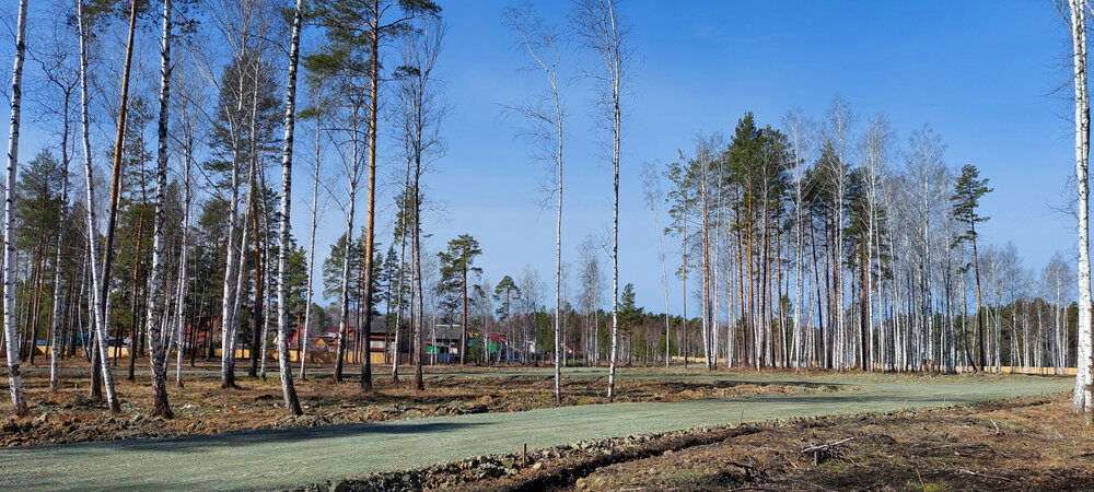 г. Верхняя Пышма, рядом с СНТ Звёздочка (городской округ Верхняя Пышма) - фото сада (3)