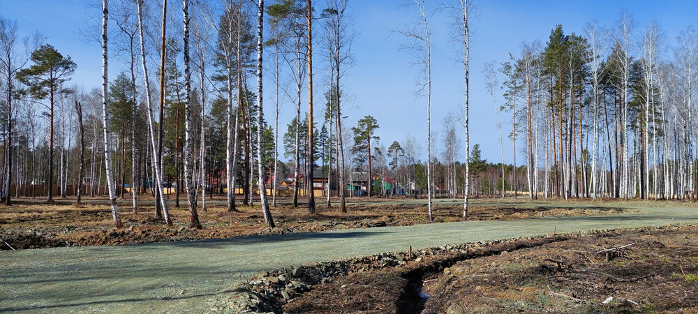 г. Верхняя Пышма, рядом с СНТ Звёздочка (городской округ Верхняя Пышма) - фото сада (4)