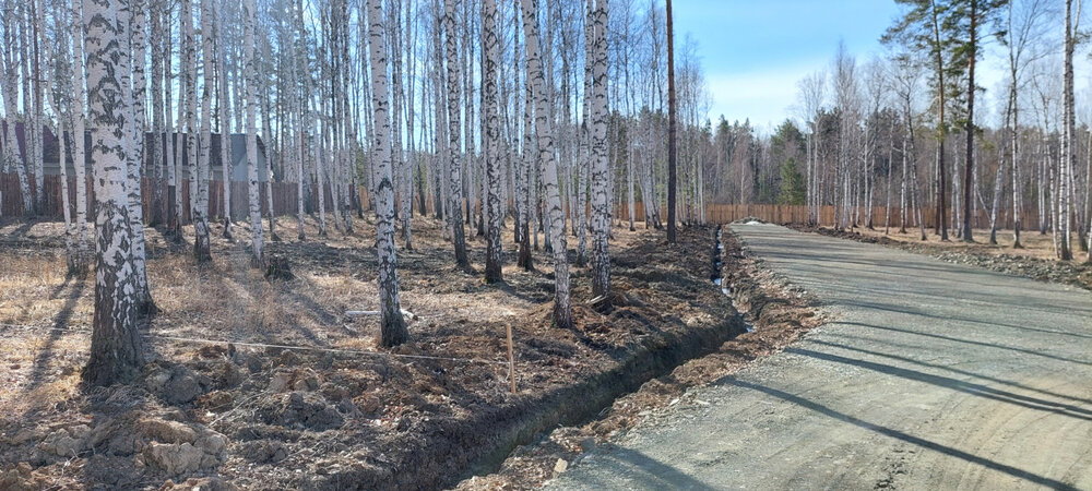 г. Верхняя Пышма, рядом с СНТ Звёздочка (городской округ Верхняя Пышма) - фото сада (5)