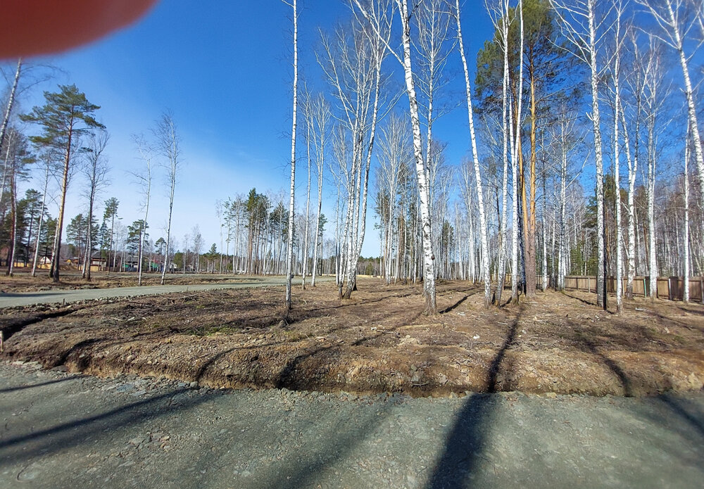 г. Верхняя Пышма, рядом с СНТ Звёздочка (городской округ Верхняя Пышма) - фото сада (6)
