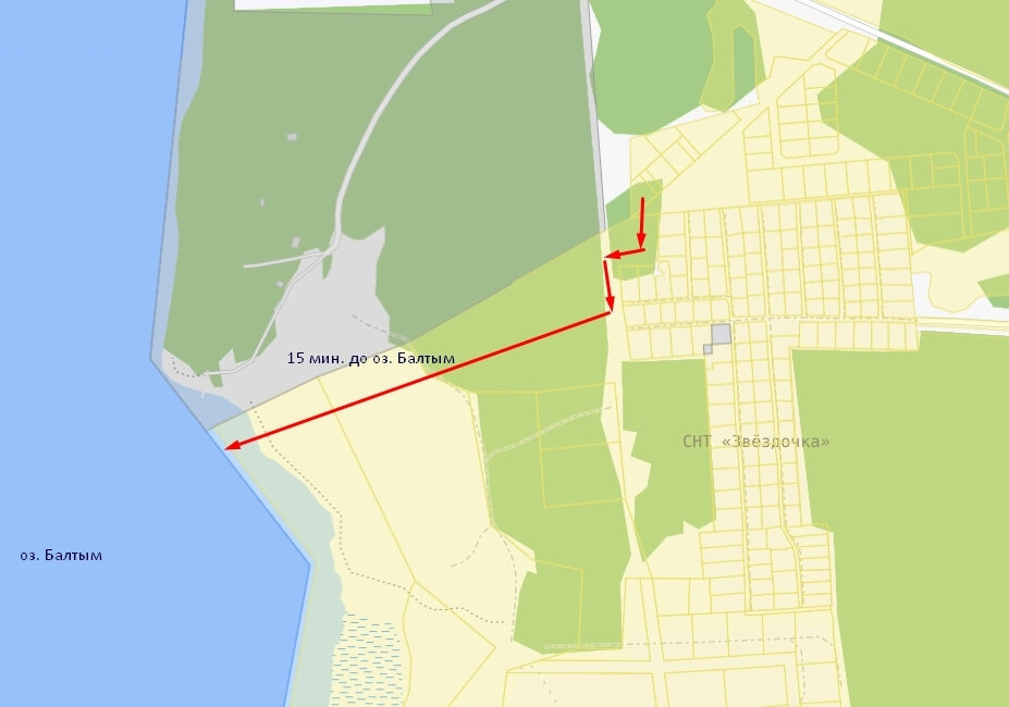 г. Верхняя Пышма, рядом с СНТ Звёздочка (городской округ Верхняя Пышма) - фото сада (8)