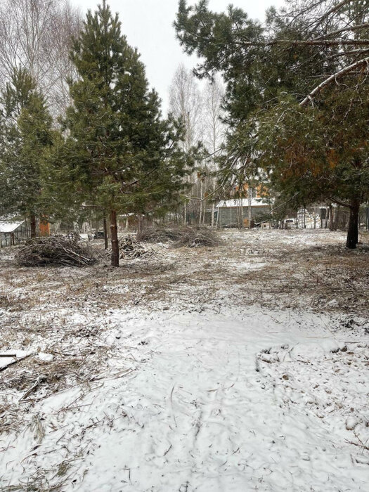 Екатеринбург, тер. СНТ. Надежда Верх-Исетского РОНО - фото сада (1)