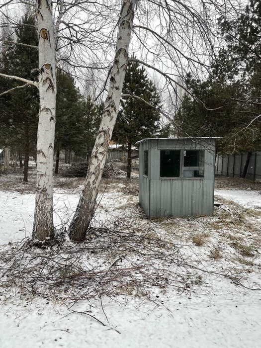 Екатеринбург, тер. СНТ. Надежда Верх-Исетского РОНО - фото сада (2)