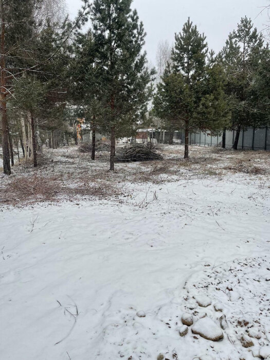 Екатеринбург, тер. СНТ. Надежда Верх-Исетского РОНО - фото сада (3)