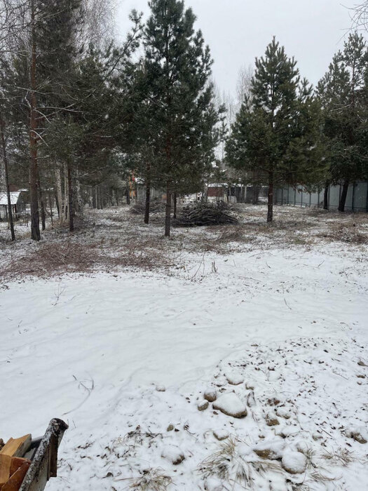 Екатеринбург, тер. СНТ. Надежда Верх-Исетского РОНО - фото сада (6)