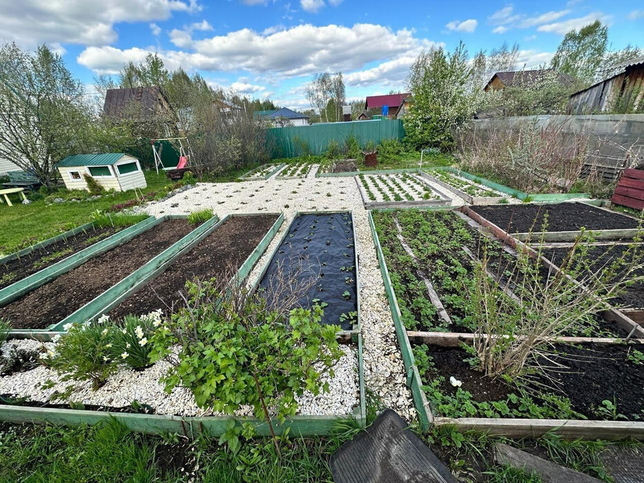 Екатеринбург, СНТ Дорожник, ул. 8-я линия  - фото сада (5)