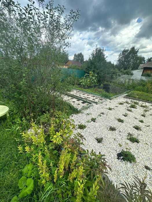 Екатеринбург, СНТ Дорожник, ул. 8-я линия  - фото сада (6)