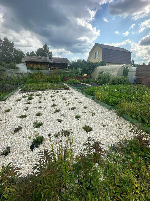 Екатеринбург, СНТ Дорожник, ул. 8-я линия  - фото сада (8)