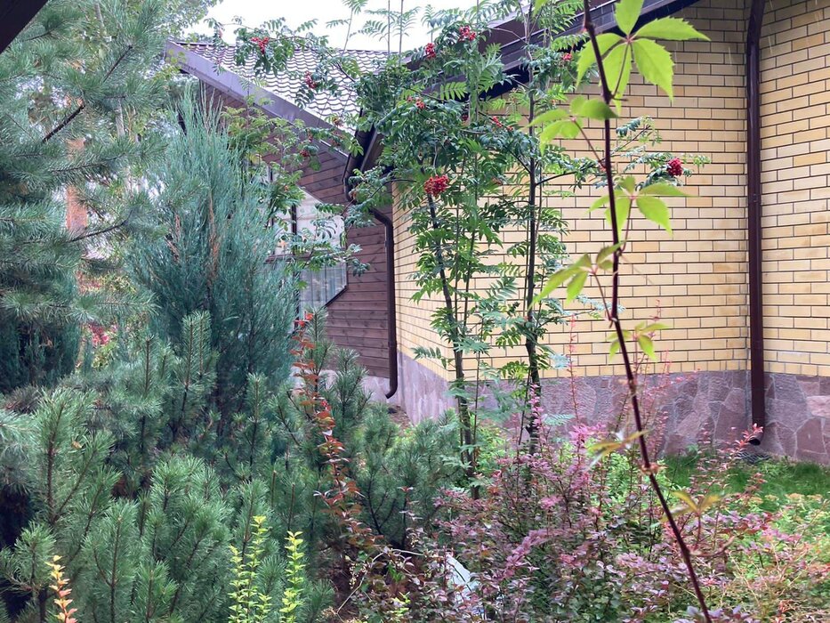 г. Верхняя Пышма, ул. Ольховая, 18 (городской округ Верхняя Пышма) - фото коттеджа (7)