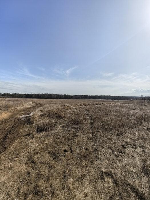 п. Залесье, ул. Индустриальная (городской округ Верхняя Пышма) - фото земельного участка (1)