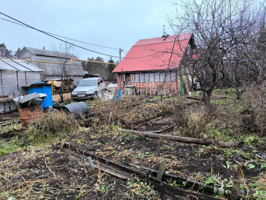 с. Балтым, тер. СТ Ясень, уч. 149 (городской округ Верхняя Пышма) - фото сада (4)