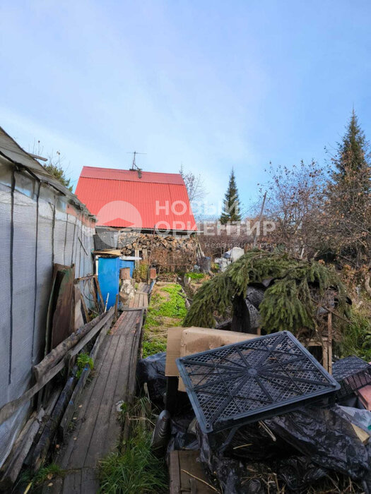 с. Балтым, тер. СТ Ясень, уч. 149 (городской округ Верхняя Пышма) - фото сада (5)