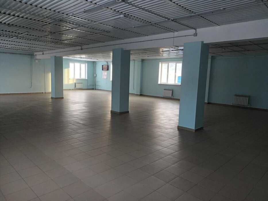 г. Нижние Серги, ул. Розы Люксембург, 71 (Нижнесергинский район) - фото торговой площади (2)