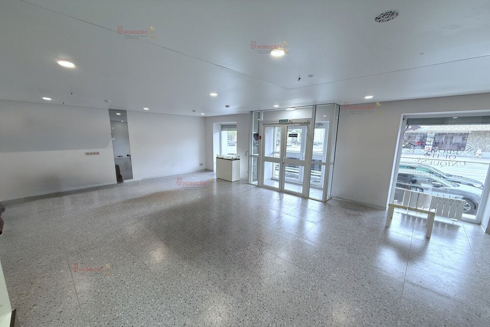 Екатеринбург, ул. Малышева, 73 (Центр) - фото торговой площади (5)