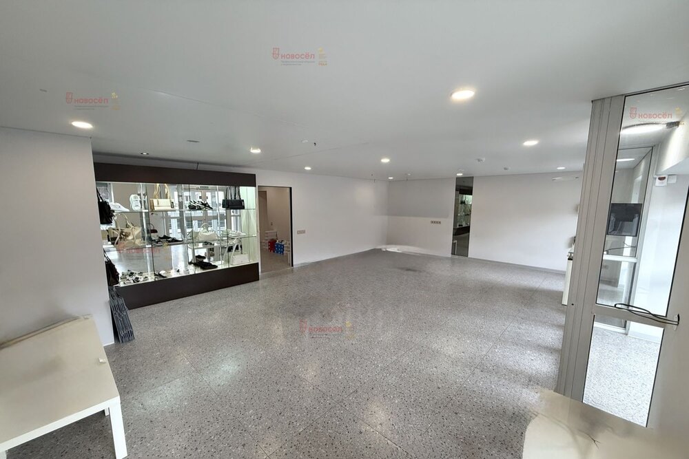 Екатеринбург, ул. Малышева, 73 (Центр) - фото торговой площади (6)